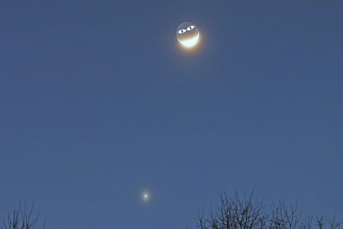 [Smiley Moon]