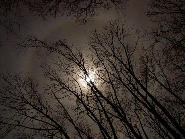 [Jupiter and Lunar Halo]