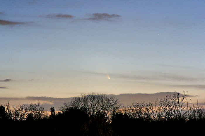 [Comet PanSTARRS]
