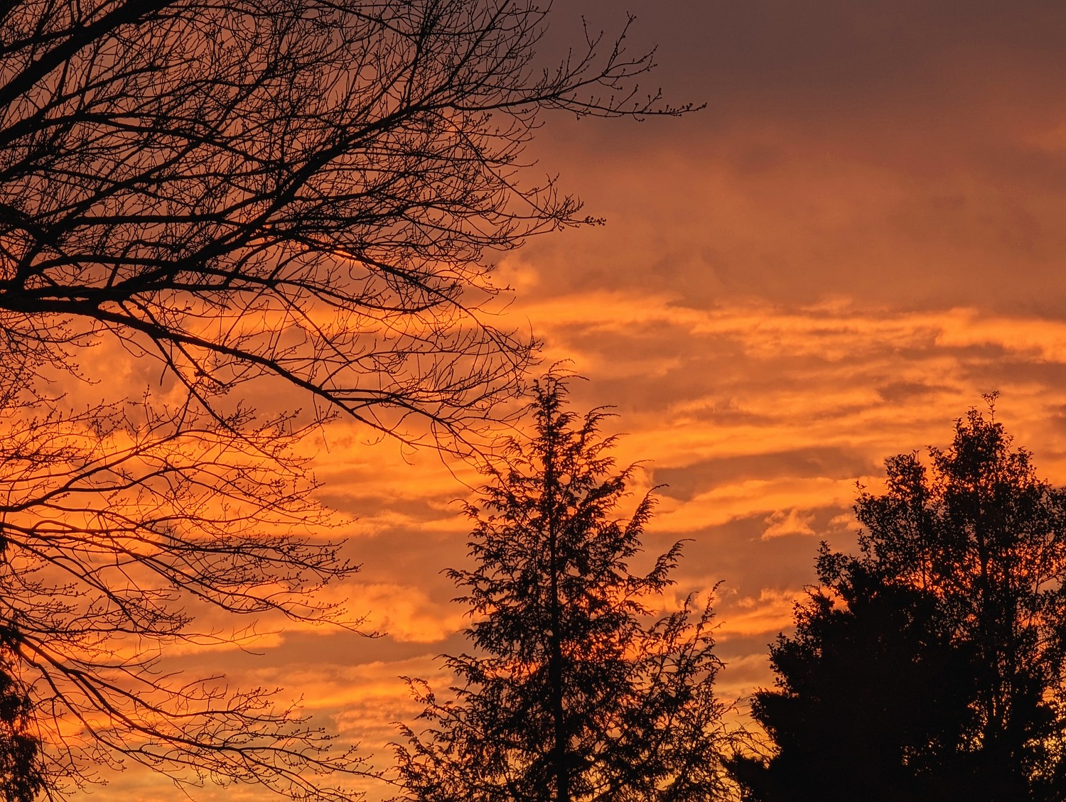 [Sunset on St. Patrick's Day]