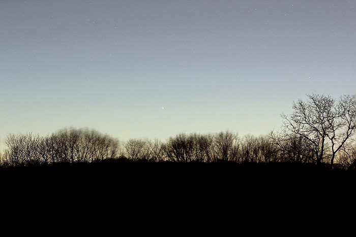 [Mercury in the Wind]