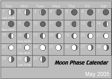 Hummingbird Tattoo Moon Phases Calendar