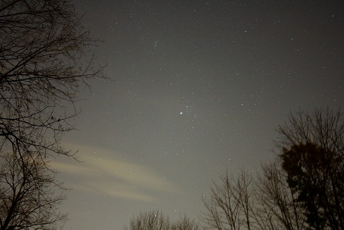 [Comet Holmes wide field, Nov. 11]