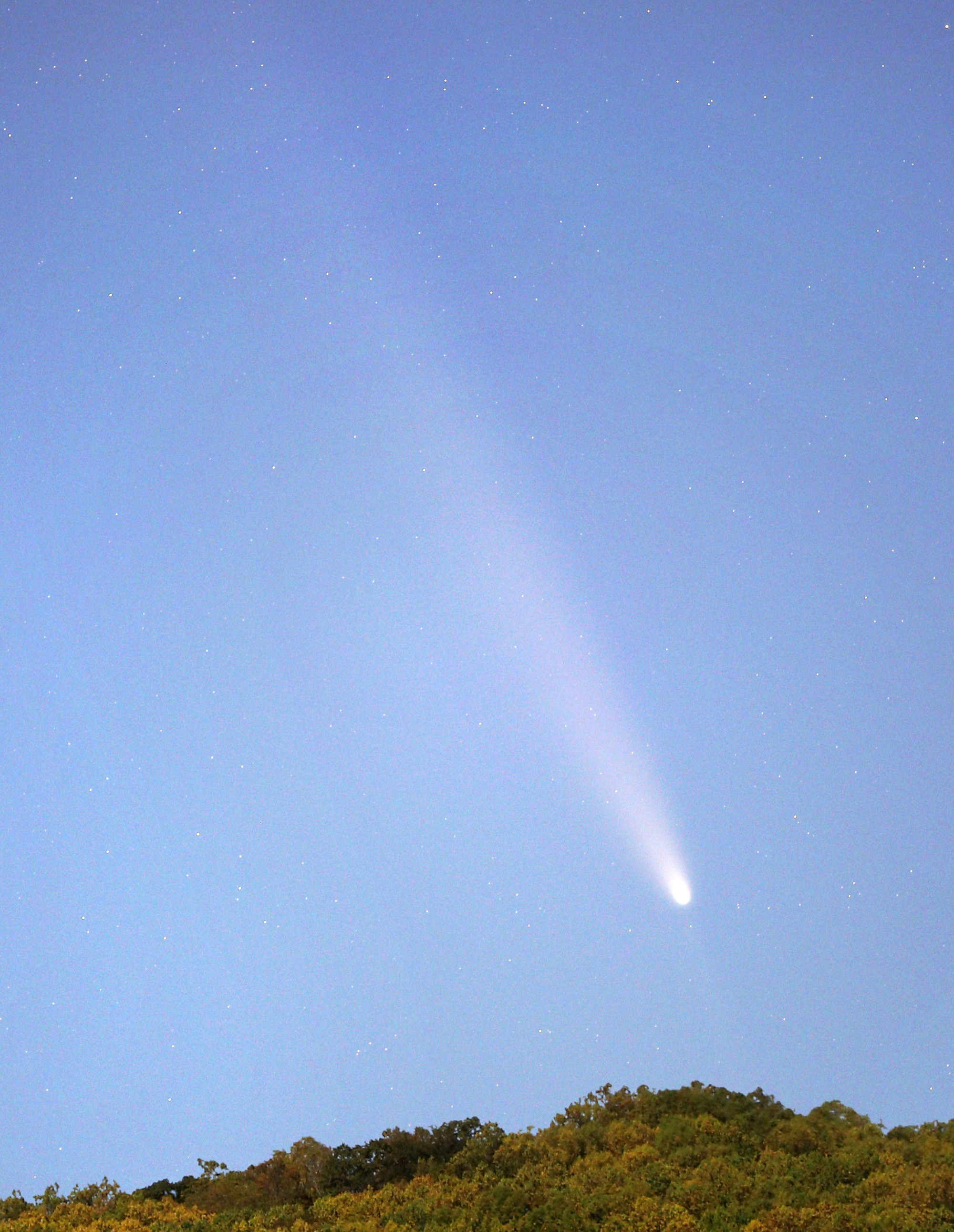[Comet ATLAS]