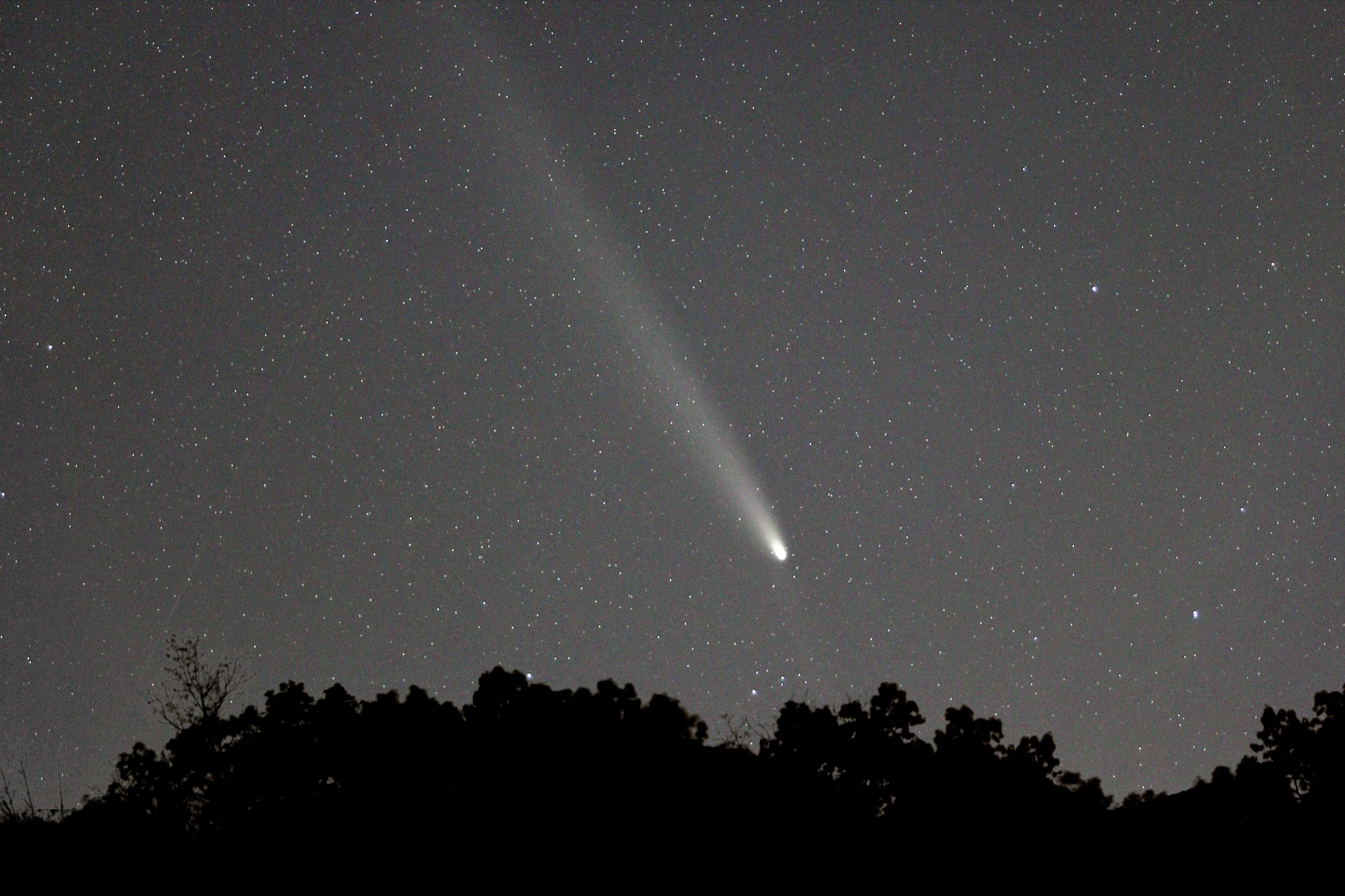 [Comet ATLAS]
