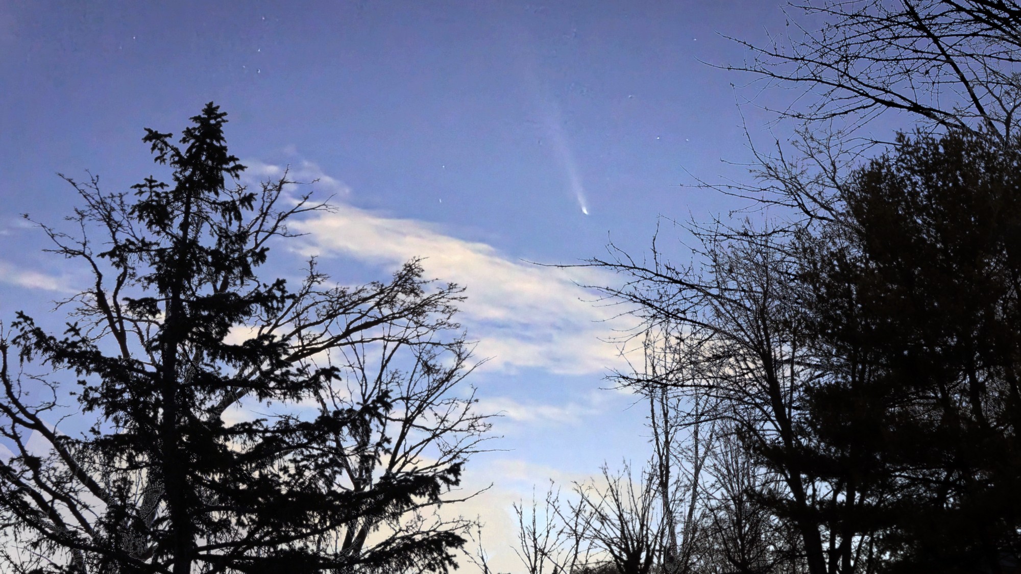 [Comet ATLAS]