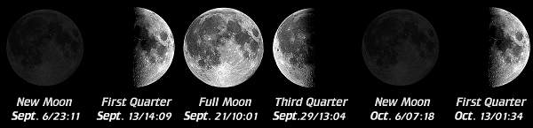 [Moon Phases]