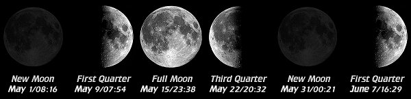 [Moon Phases]