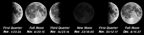 [Moon Phases]