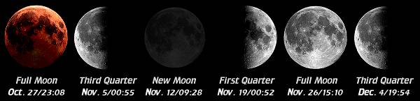 [Moon Phases]