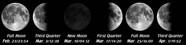 [Moon Phases]