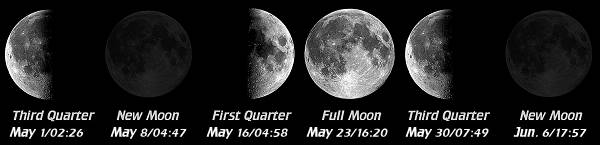[Moon Phases]