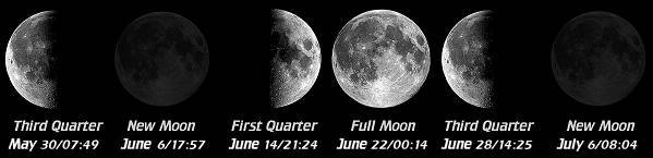 [Moon Phases]