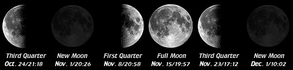 [Moon Phases]