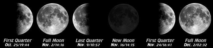 [Moon Phases]