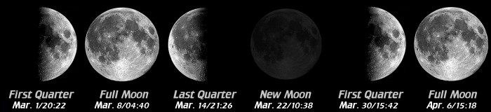 [Moon Phases]