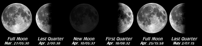 [Moon Phases]