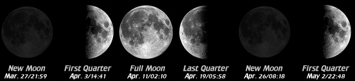 [Moon Phases]