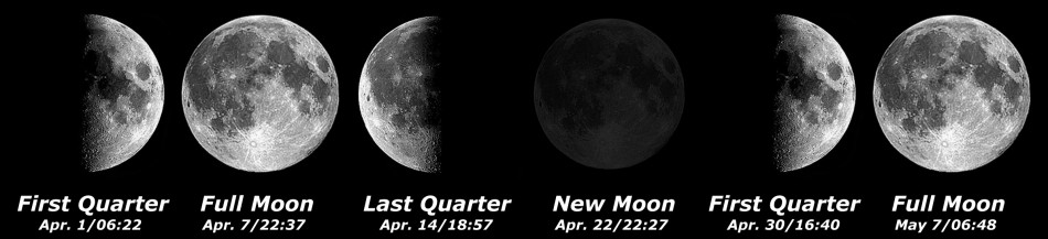 [Moon Phases]