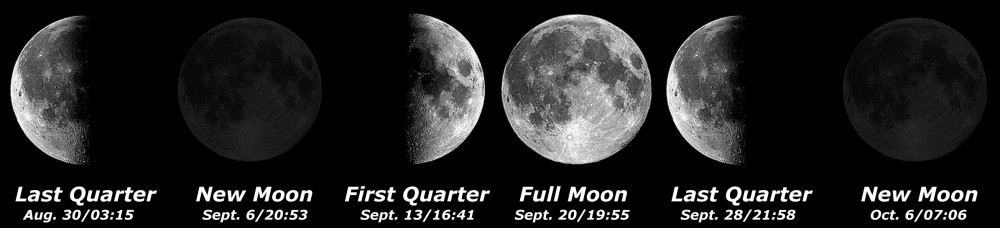 [Moon Phases]