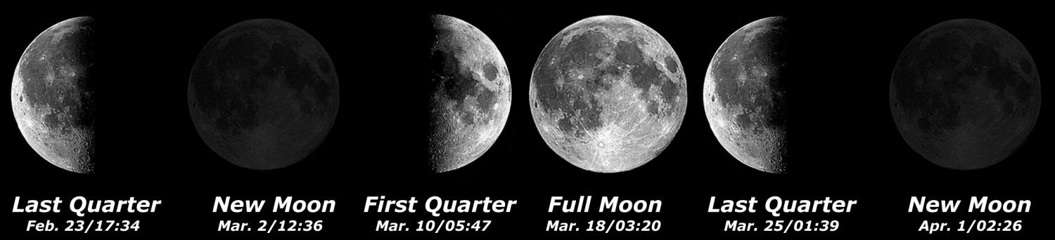 [Moon Phases]