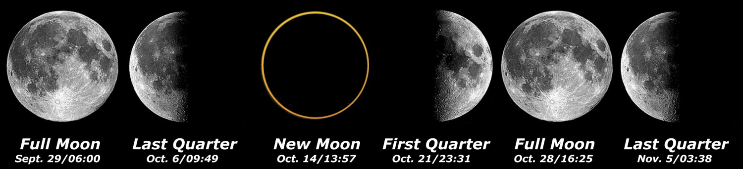 [Moon Phases]