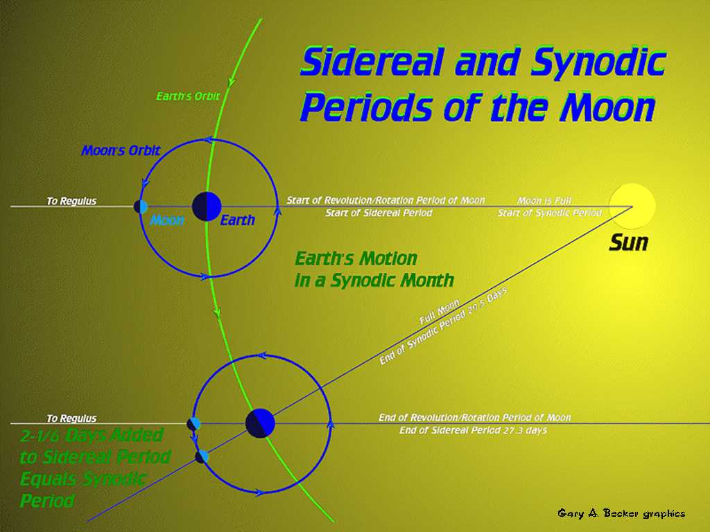 [Gary A. Becker Slide]