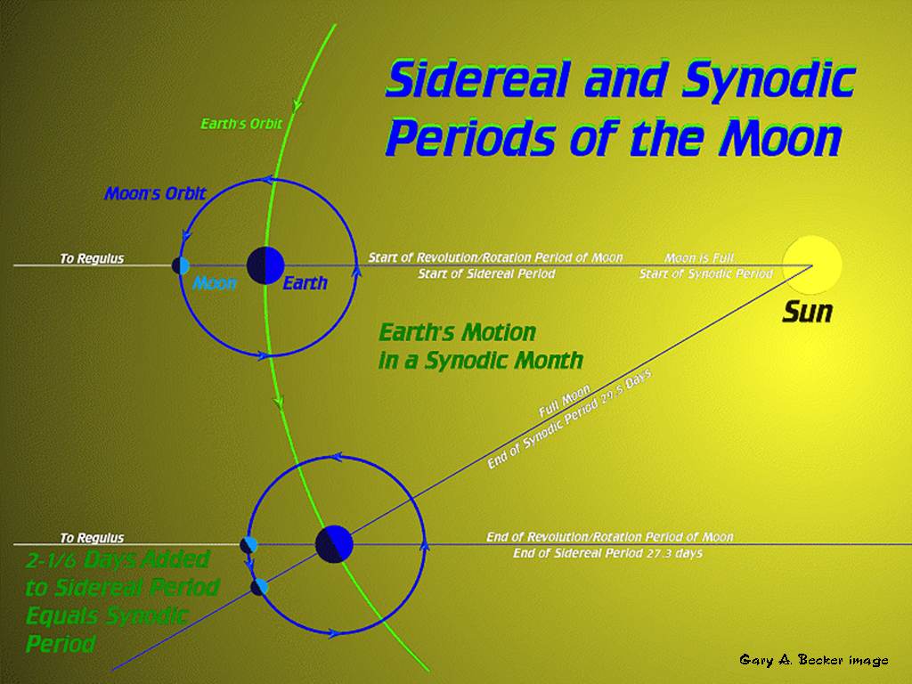 [Gary A. Becker Slide]