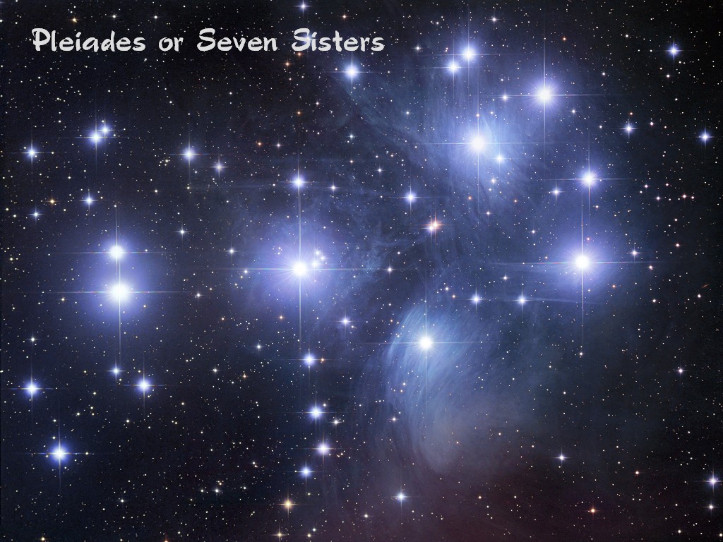 [Gary A. Becker Slide]