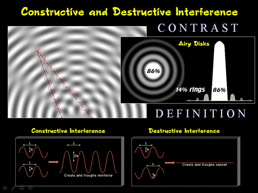 [Gary A. Becker Slide]