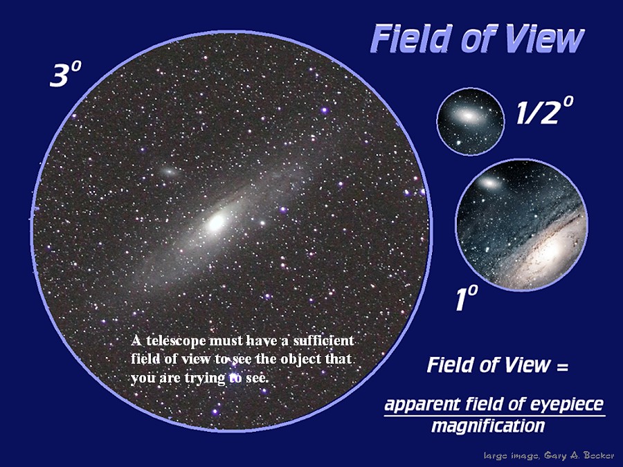 [Gary A. Becker Slide]