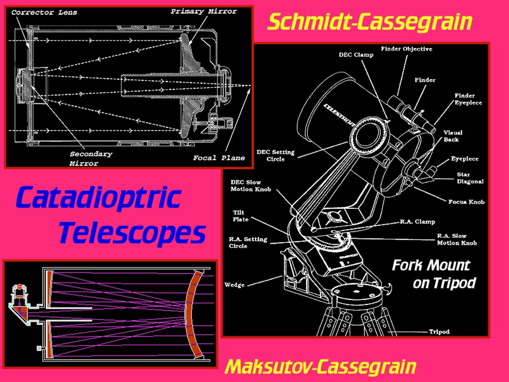 [Gary A. Becker Slide]