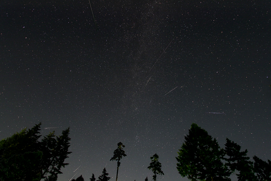 [Image of 2015 Perseid Meteor Shower Radiant]
