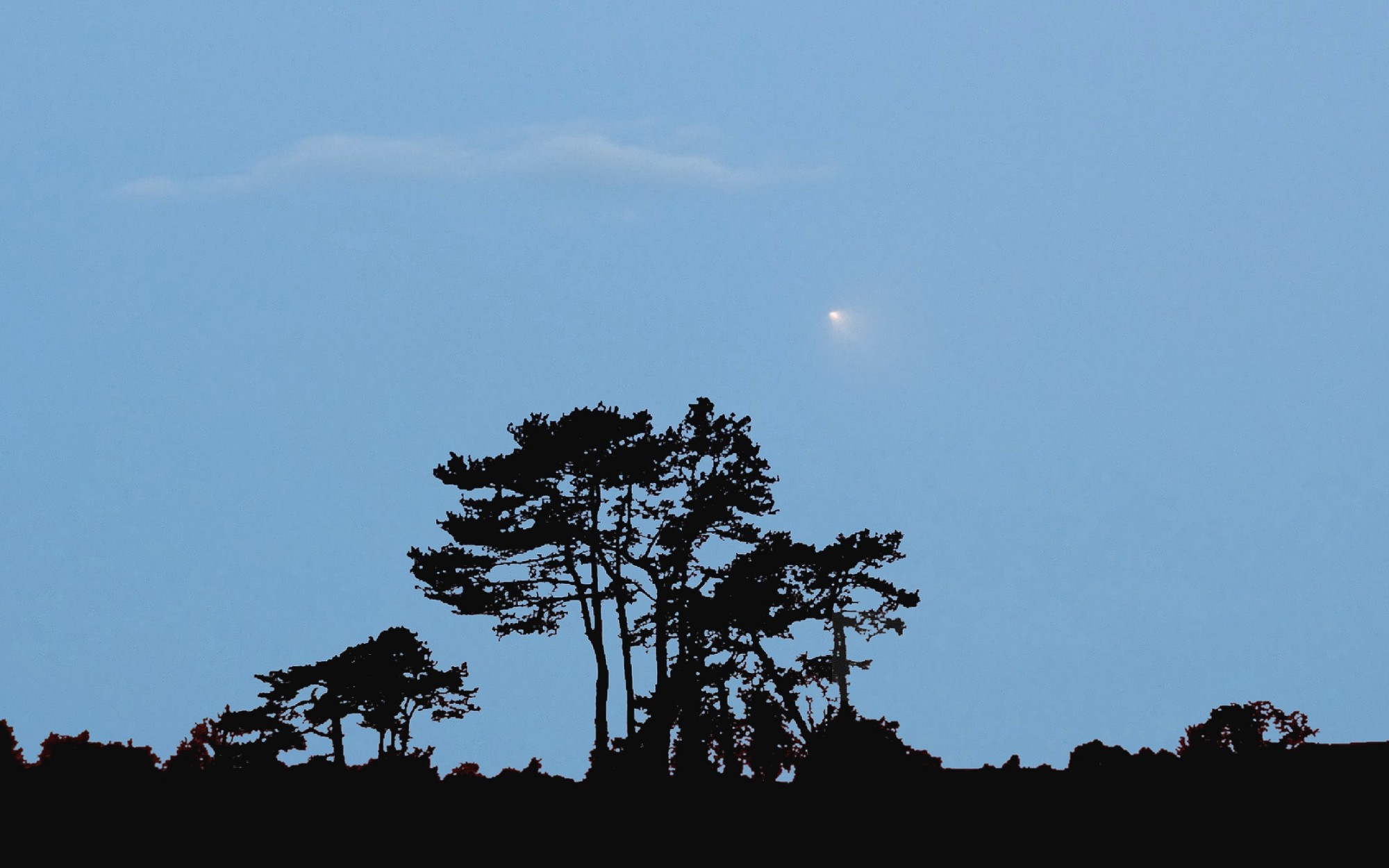 [Wallops Island, VA Rocket Launch]
