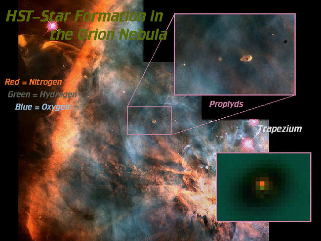 [Star Formation in the Orion Nebula]