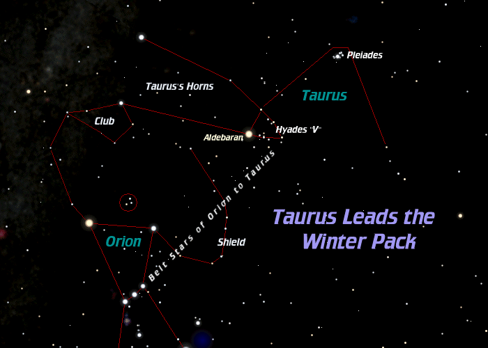[Find Taurus the Bull]
