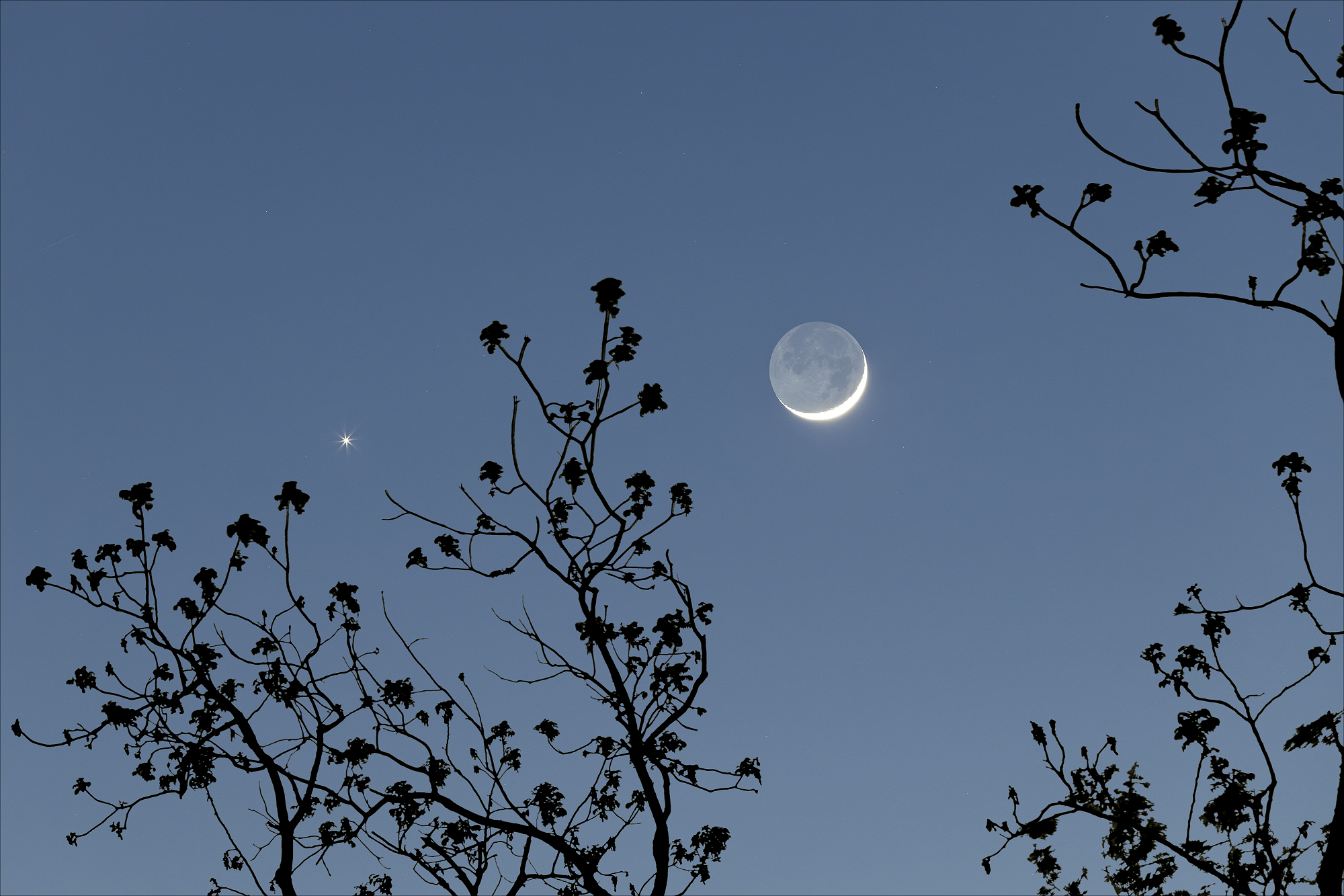 [Young Moon and Venus]