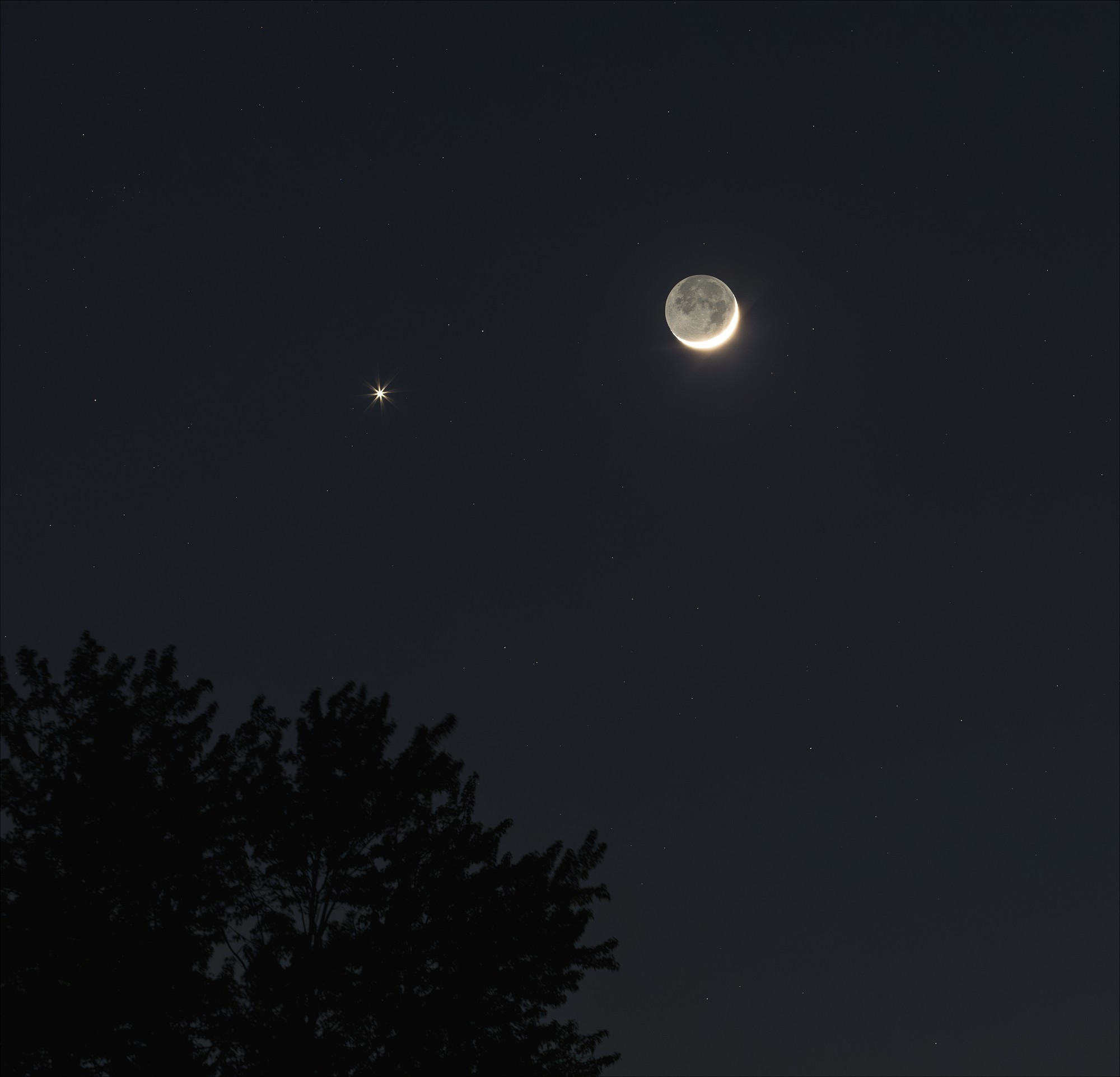 [Young Moon and Venus]