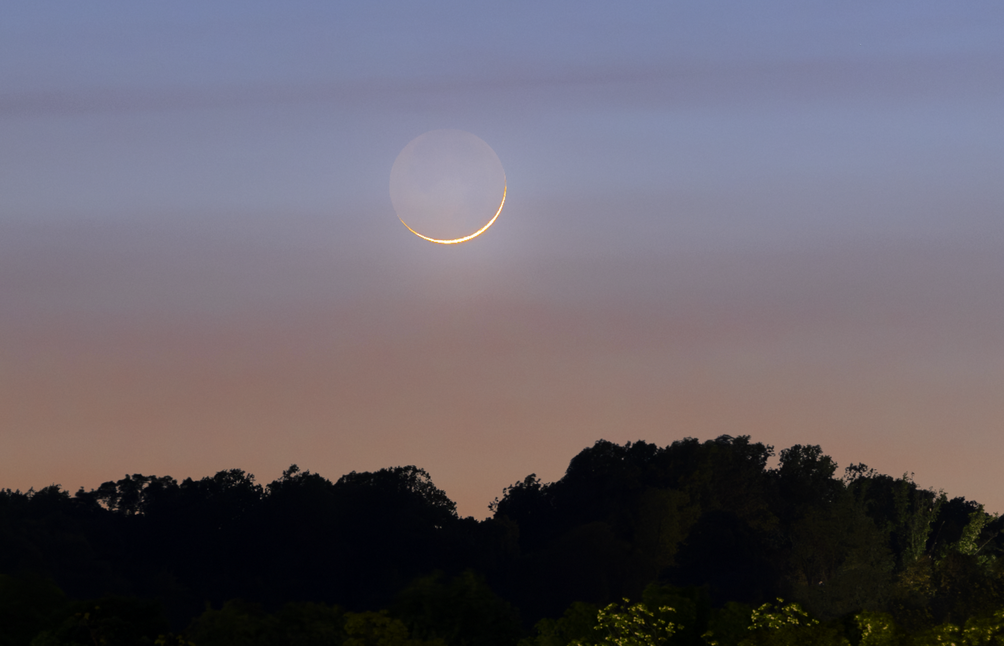 [Very Young Moon]