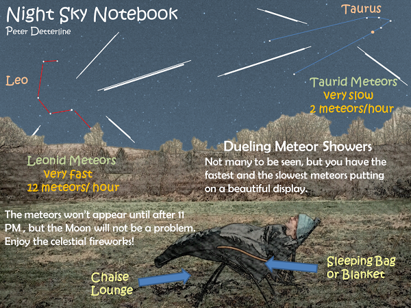 [Leonid Meteor Shower]