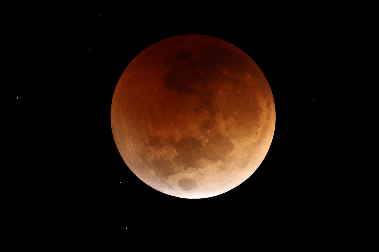 [Total Lunar Eclipse of November 8]