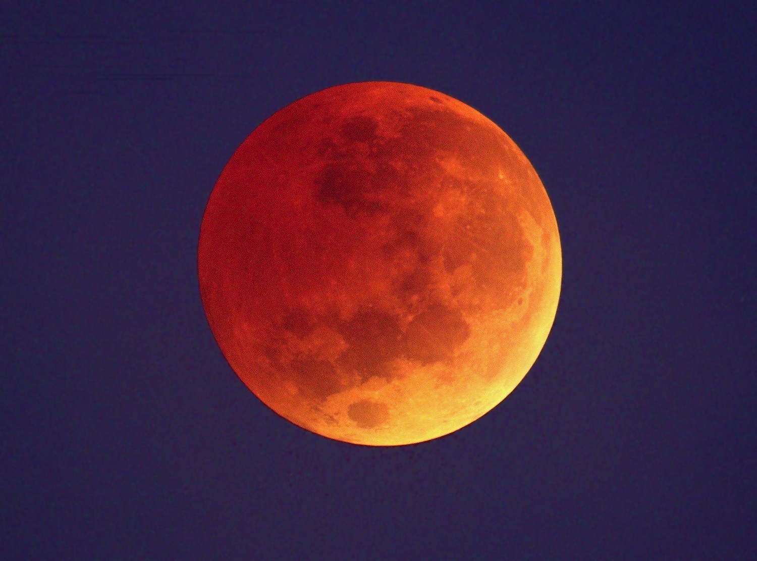 [Total Lunar Eclipse of November 8]