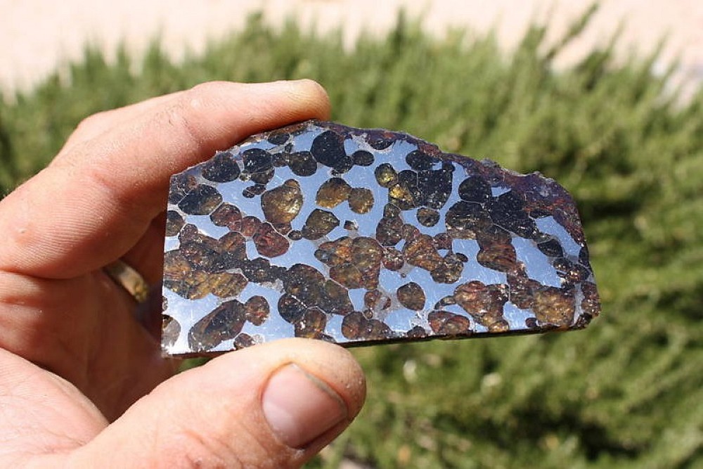Brenham Pallasite]