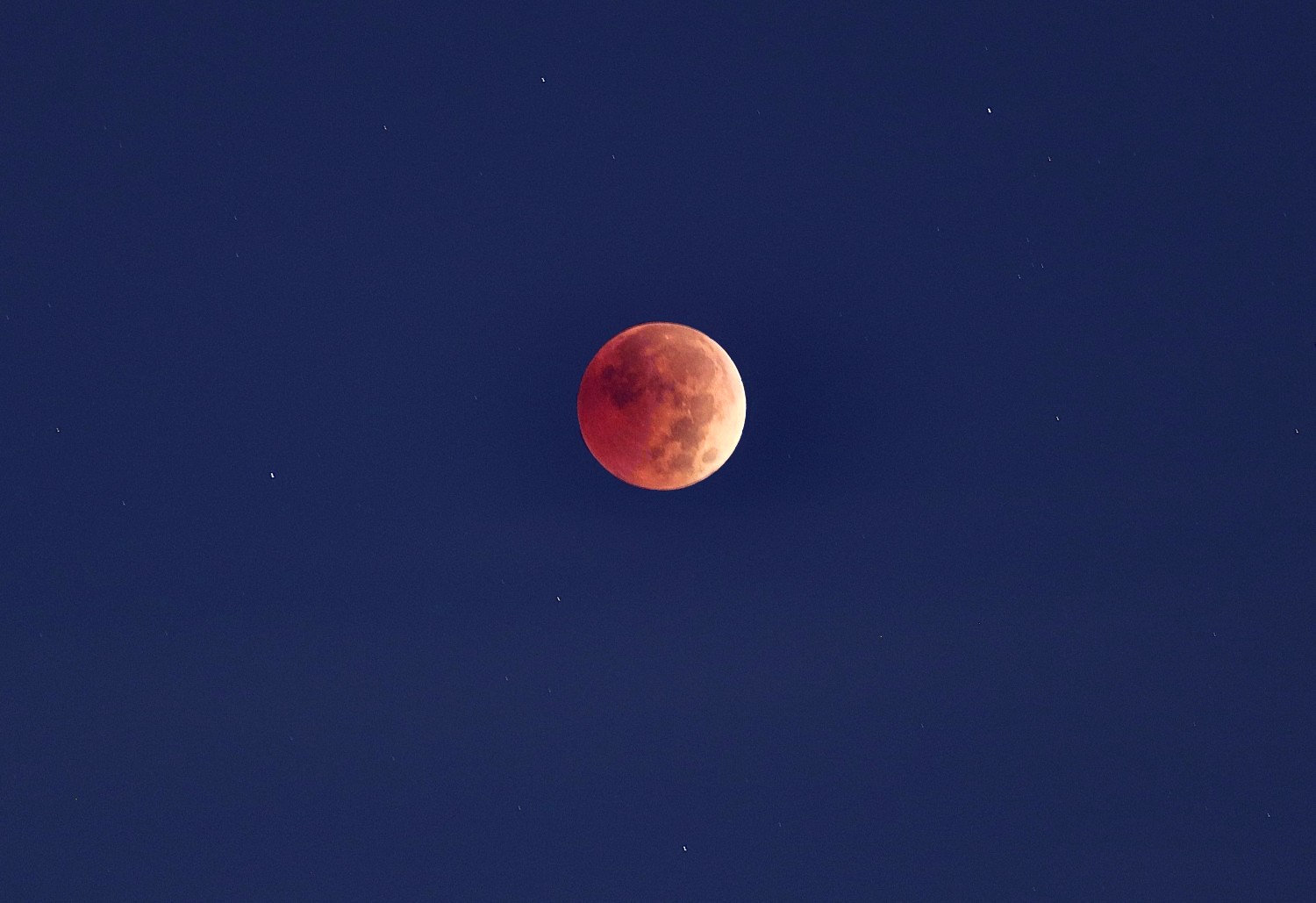 [Total Lunar Eclipse of November 8]