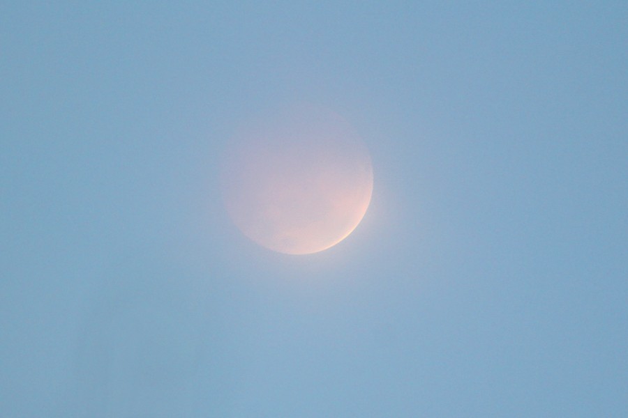[Totality, October 8, 2014 Total Lunar Eclipse]