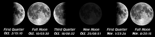 [Moon Phases]