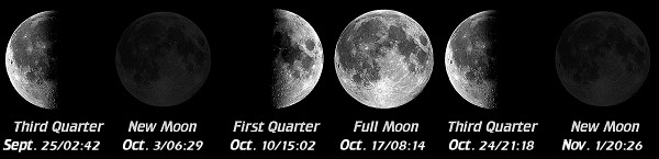 [Moon Phases]
