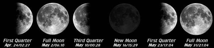 [Moon Phases]