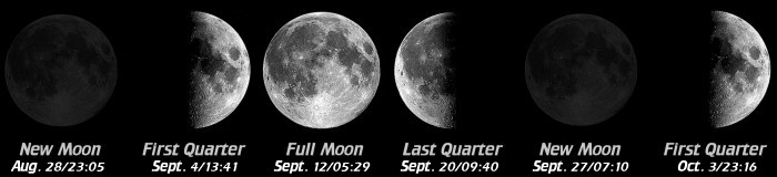 [Moon Phases]