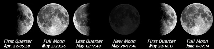 [Moon Phases]